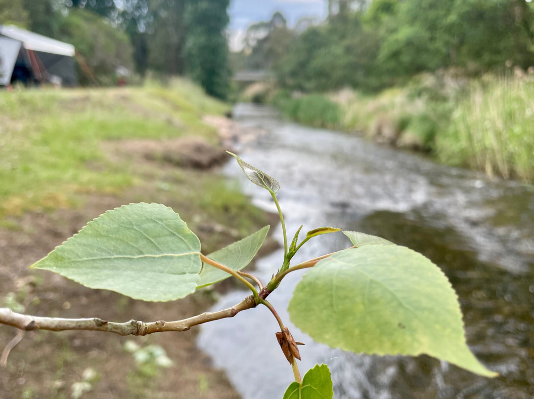 The Creek Playspace-Swifts Creek必去景点