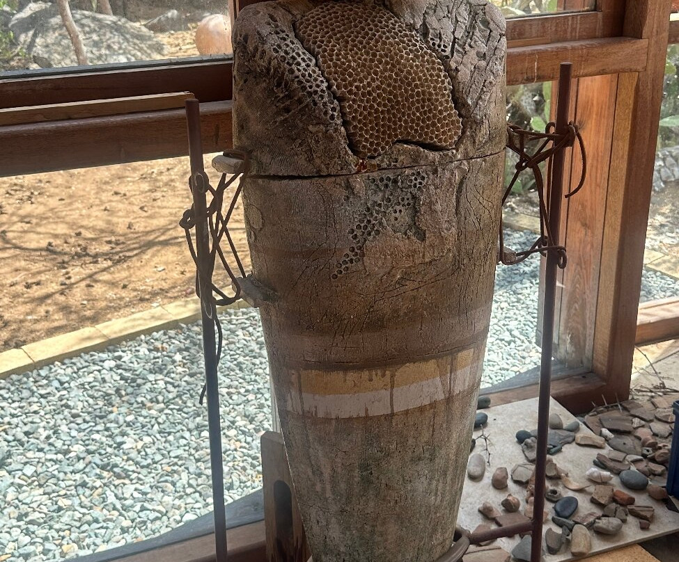 Terrafuse-Noord必去景点