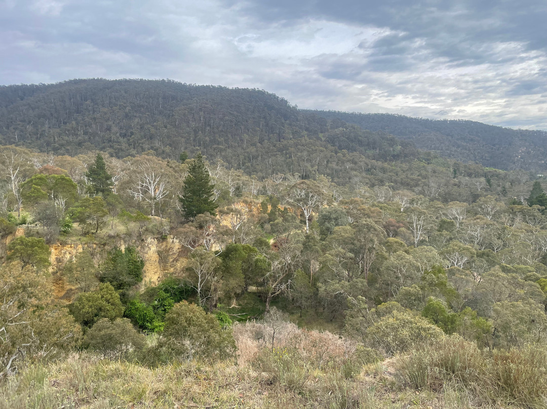 Pioneer Lookout-Omeo必去景点