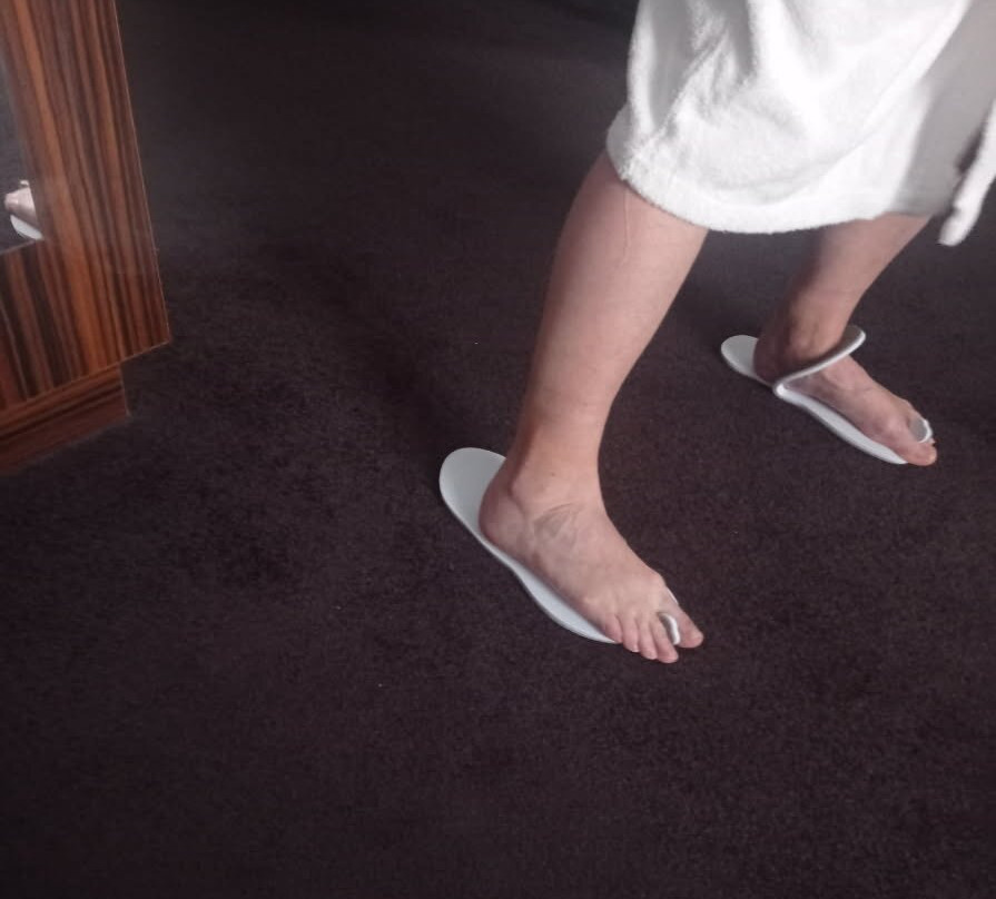 Westotel Le Pouliguen主图