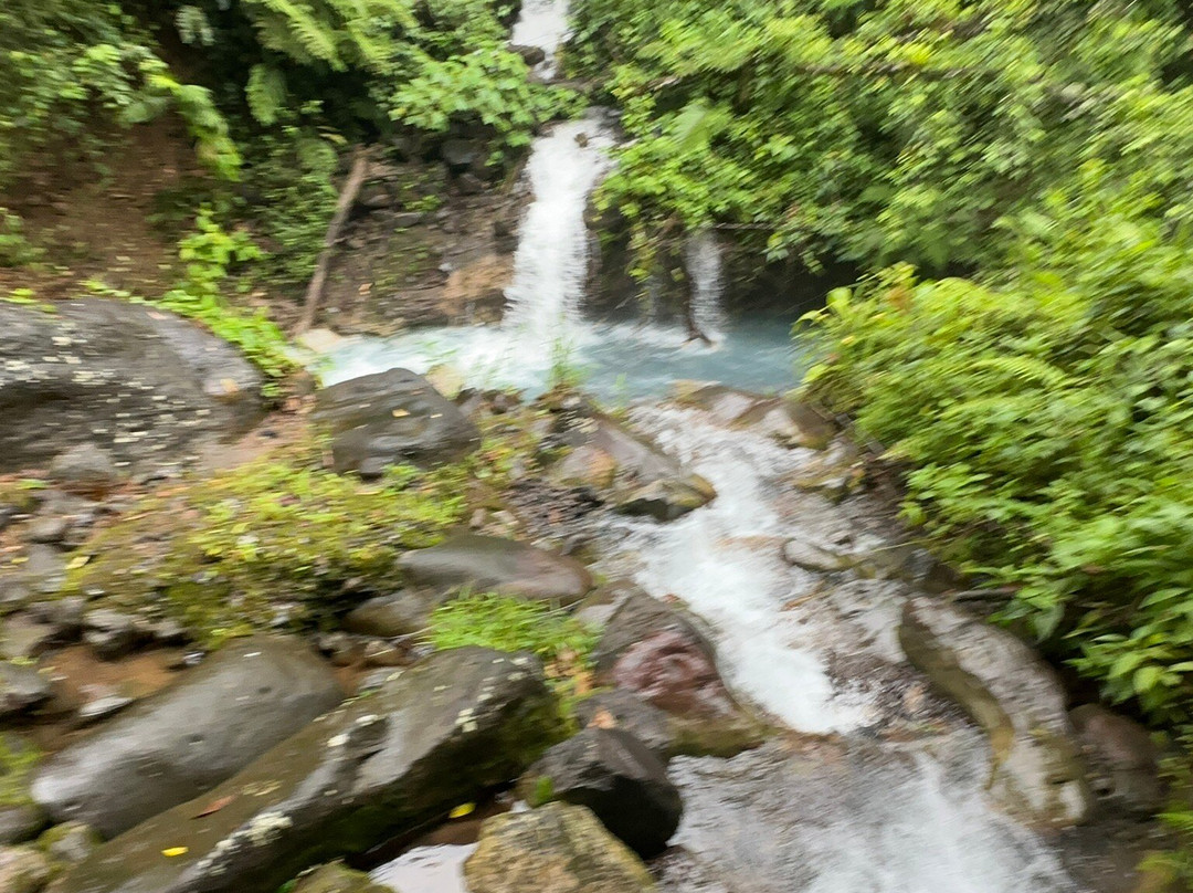 NexusTours-圣何塞必去景点