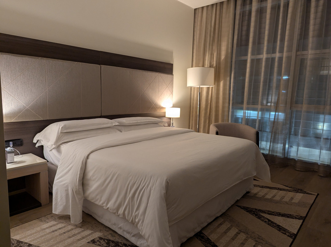 喜来登米兰马尔彭萨机场酒店及会议中心主图