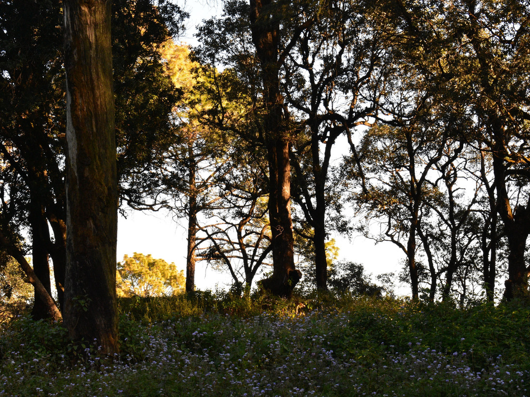 Lansdowne Called Celebration-Lansdowne必去景点