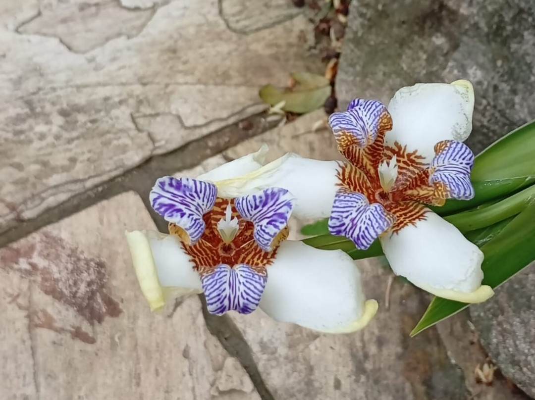 Pousada Na Praia Ubatuba主图