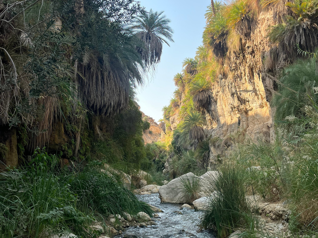 Wadi Bin Hammad-Karak必去景点