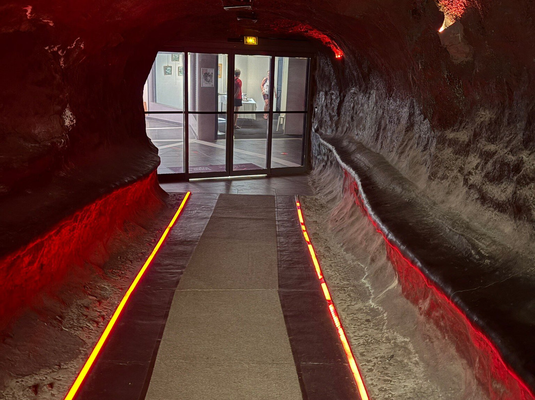 La Cité du Volcan-La Plaine des Cafres必去景点