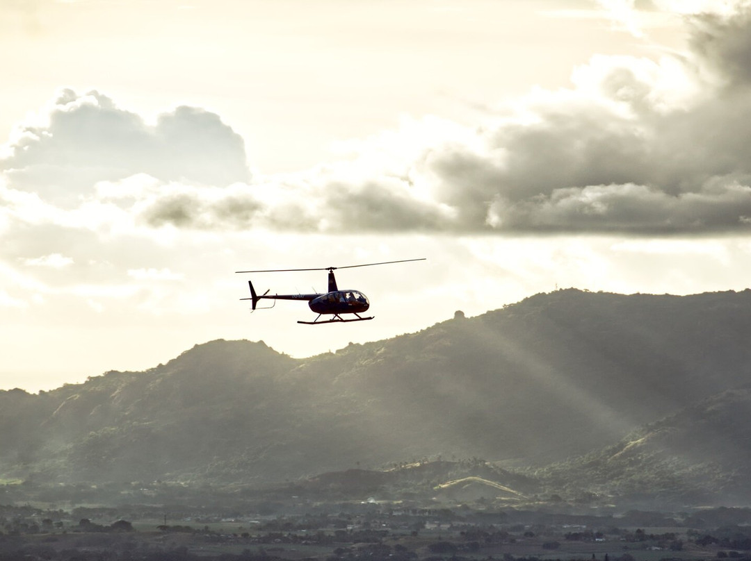 Heli-Tours Fiji-纳迪市必去景点