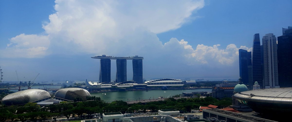 新加坡温德姆酒店-酒店景观