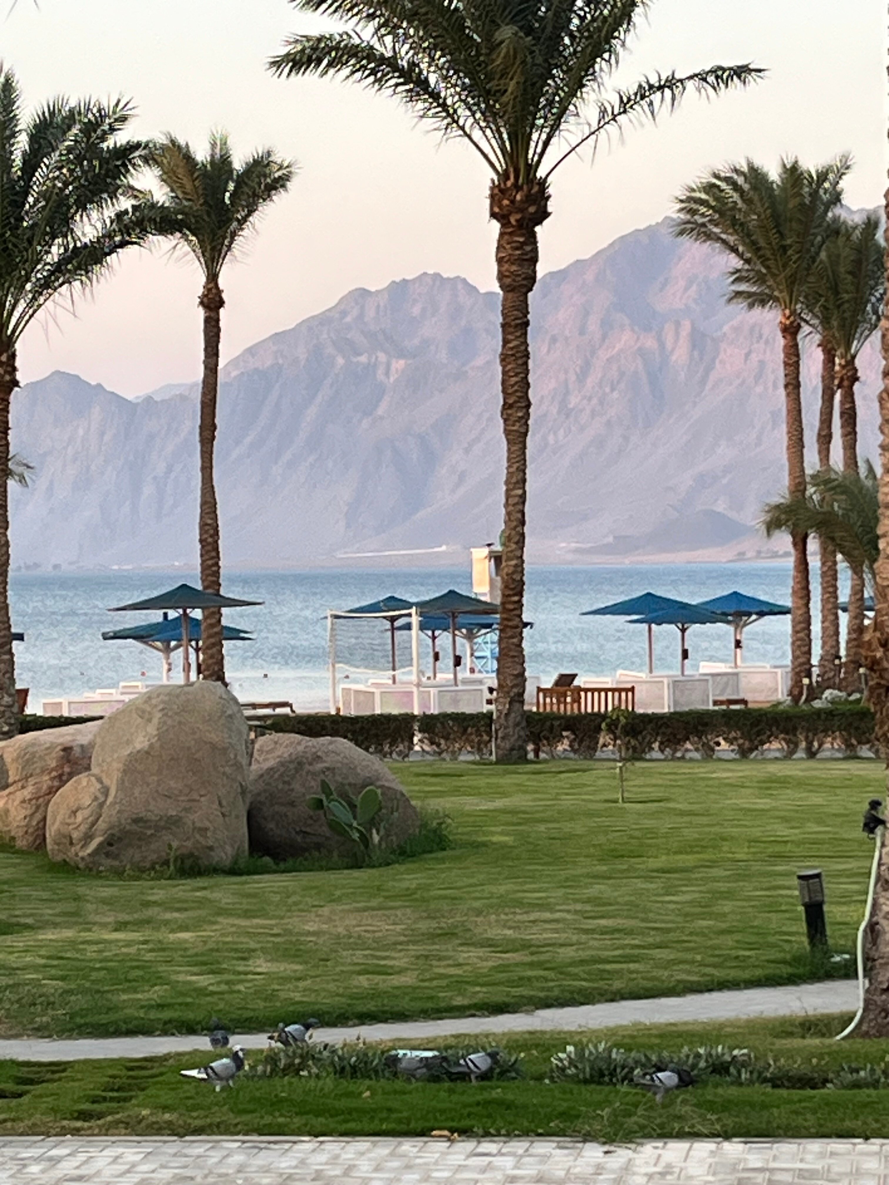 Safir Dahab Resort-官方