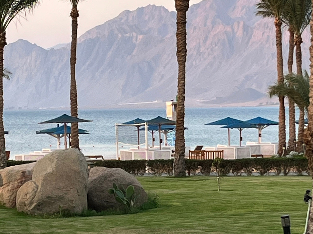 Safir Dahab Resort主图