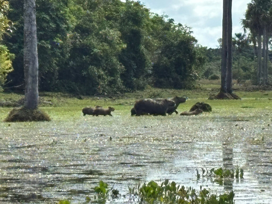 Cunaguaro Travel-Yopal必去景点