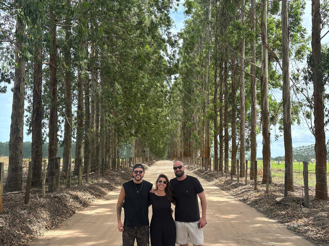 Porto Seguro Tour-Porto Seguro必去景点