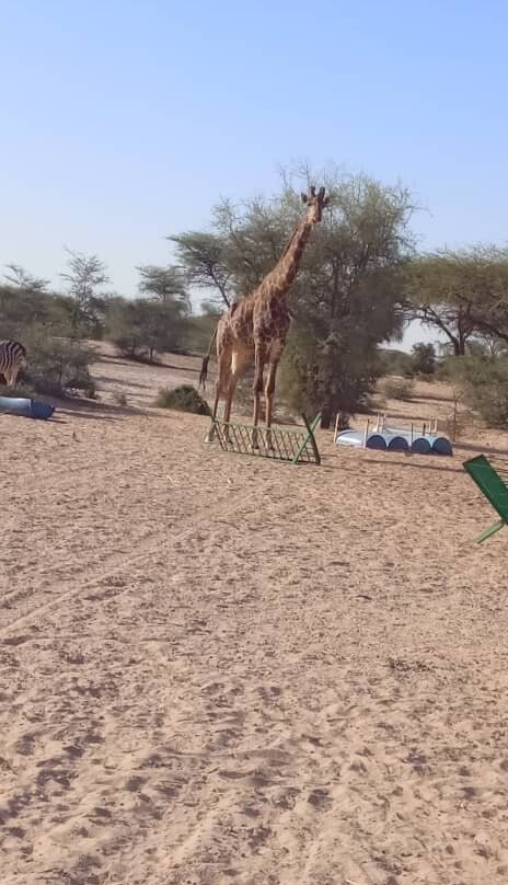 Parc National D'awleigatt - Pna-诺克少必去景点