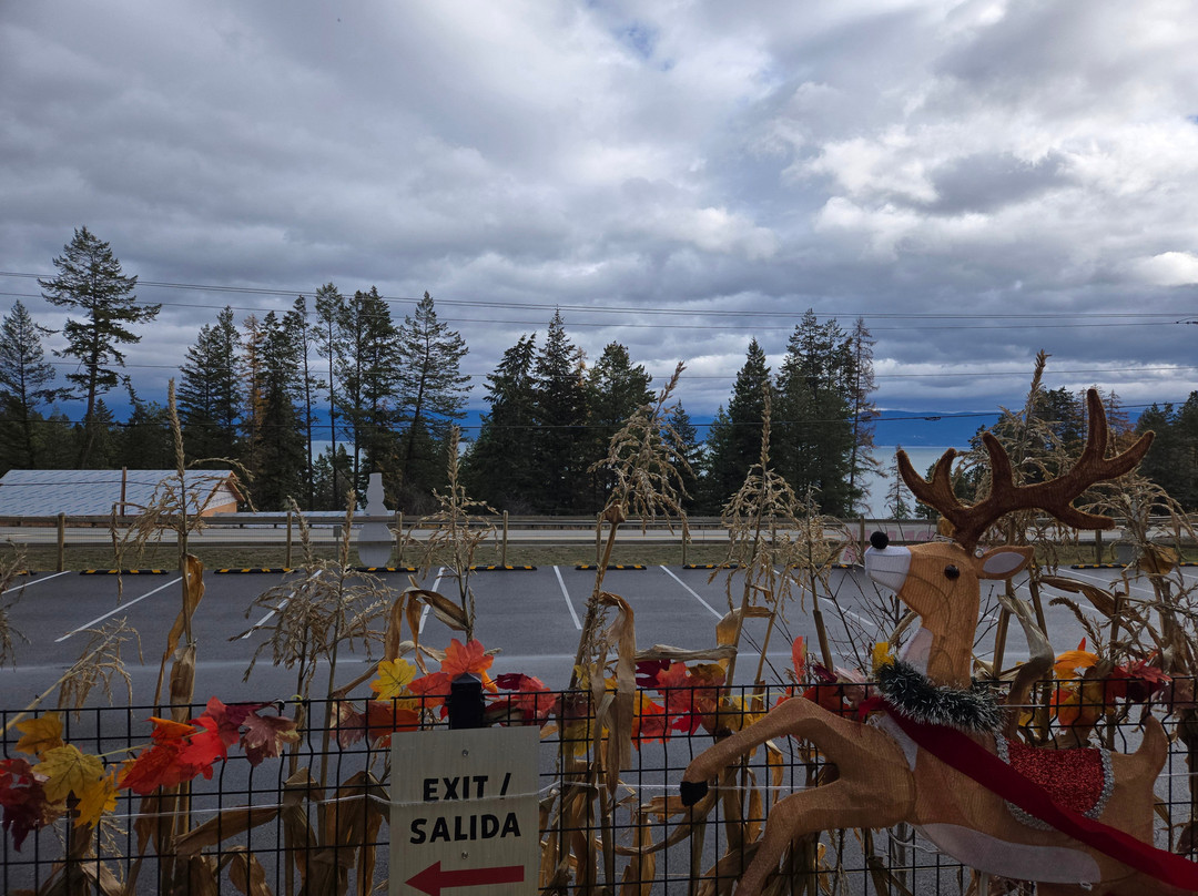 Flathead Lake Alpine Coaster-Lakeside必去景点