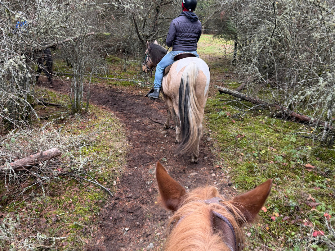 Paradise Acres Ranch-Nanoose Bay必去景点