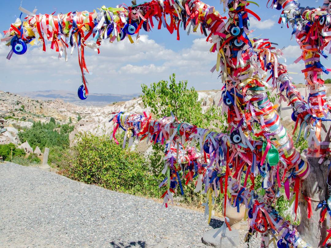 Evil Eye Tree-乌奇萨必去景点