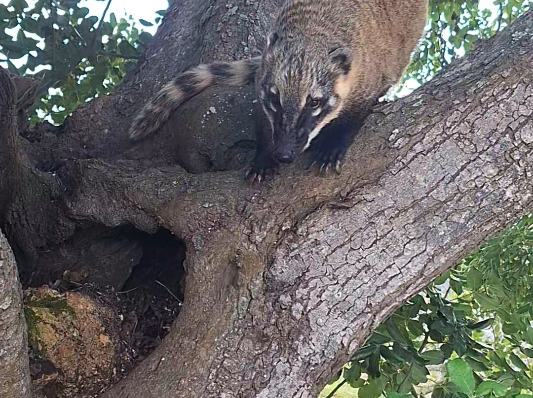 Quinta Fotoplanet Farm-阿尔布赞拉必去景点