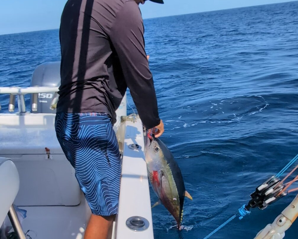 Cacho's Surf School-诺萨拉必去景点