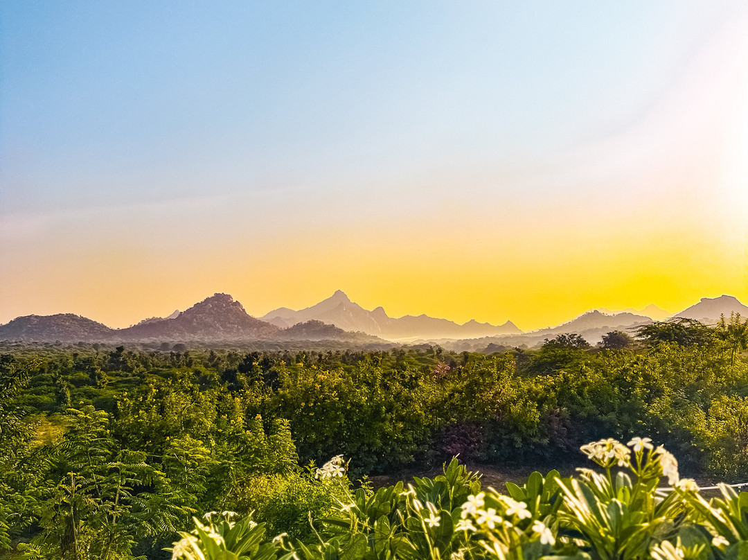 Araavali Trails - A Nature Resort主图