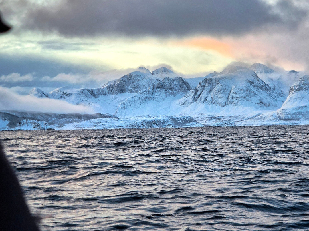 Lofoten Opplevelser-霍宁斯沃格必去景点