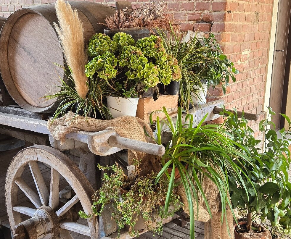 Cantine dei Marchesi Incisa della Rocchetta-Rocchetta Tanaro必去景点