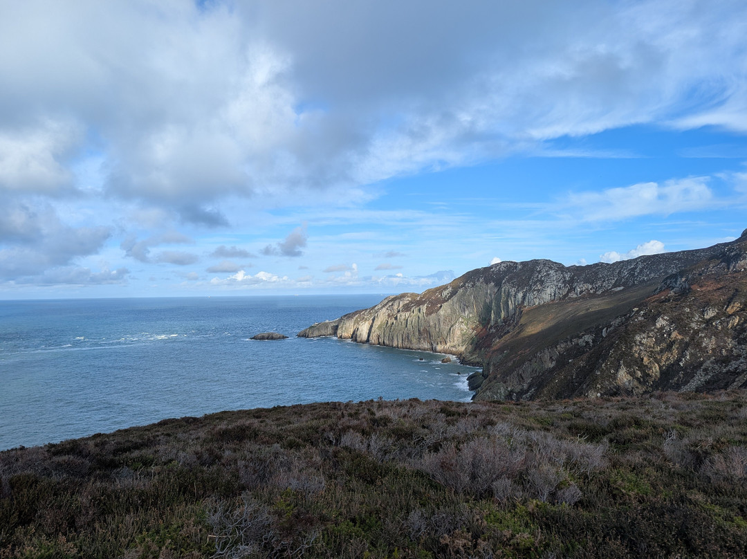 South Stack Cliffs RSPB Reserve-Holyhead必去景点