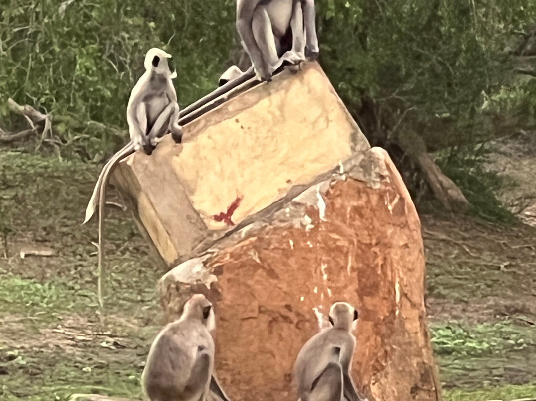 Yala Lahiru Safari-蒂瑟默哈拉默必去景点