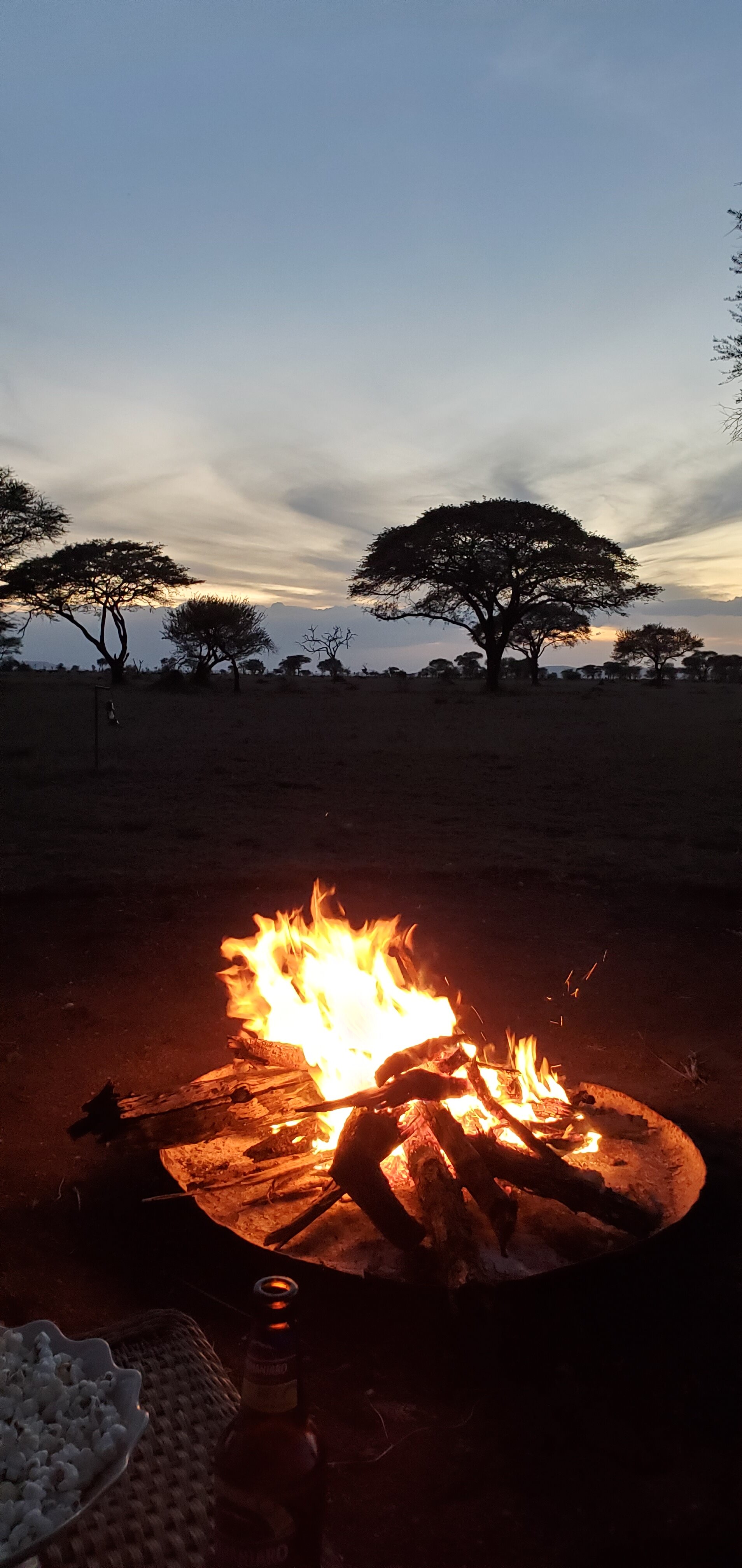 Misako Luxury Camps & Lodges-官方