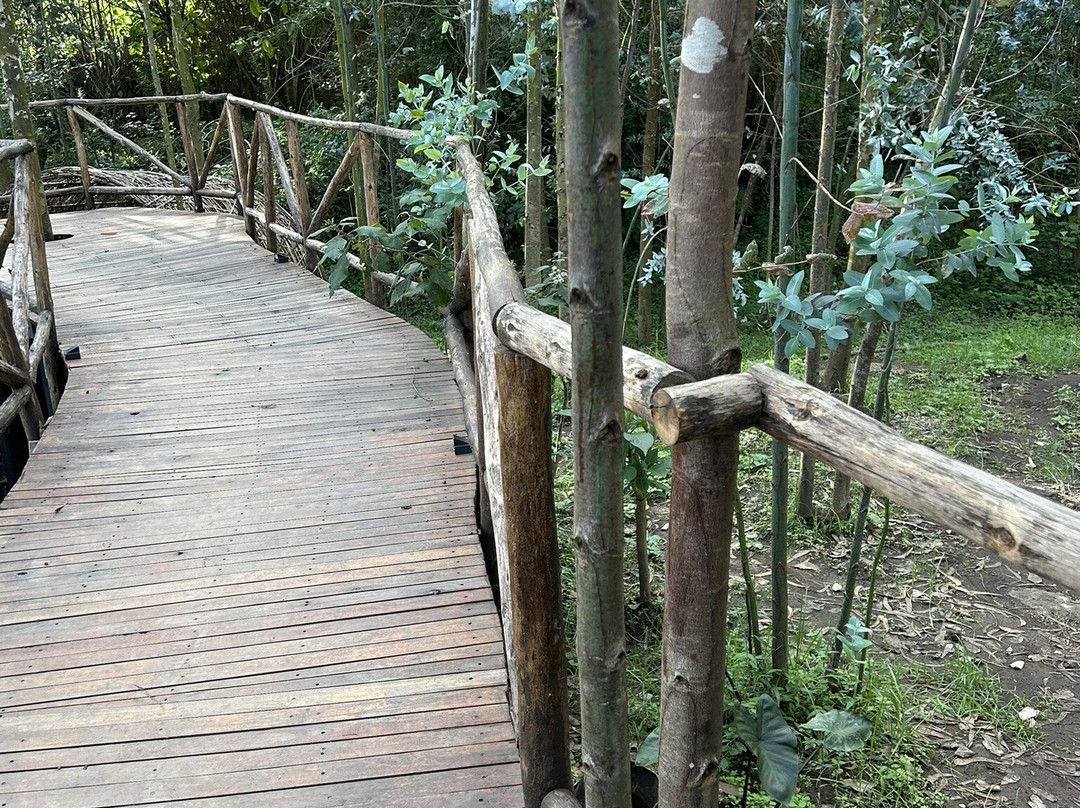 Sambora Kinigi主图