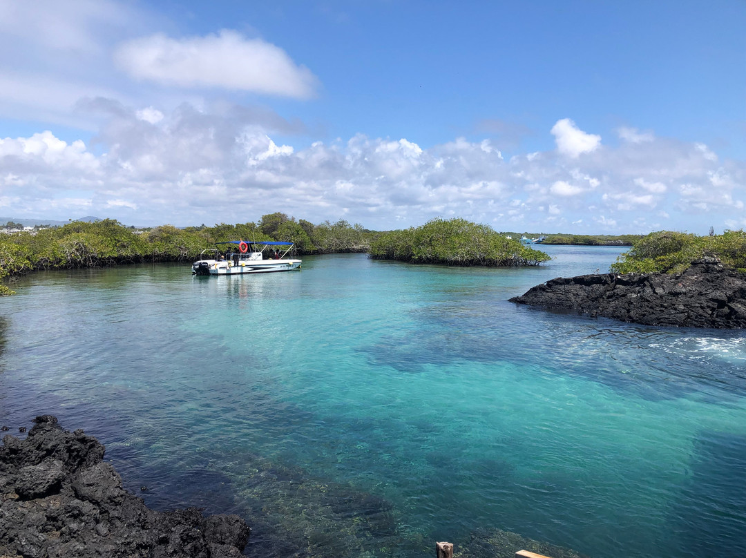 Cruise In Galapagos-阿约拉港必去景点