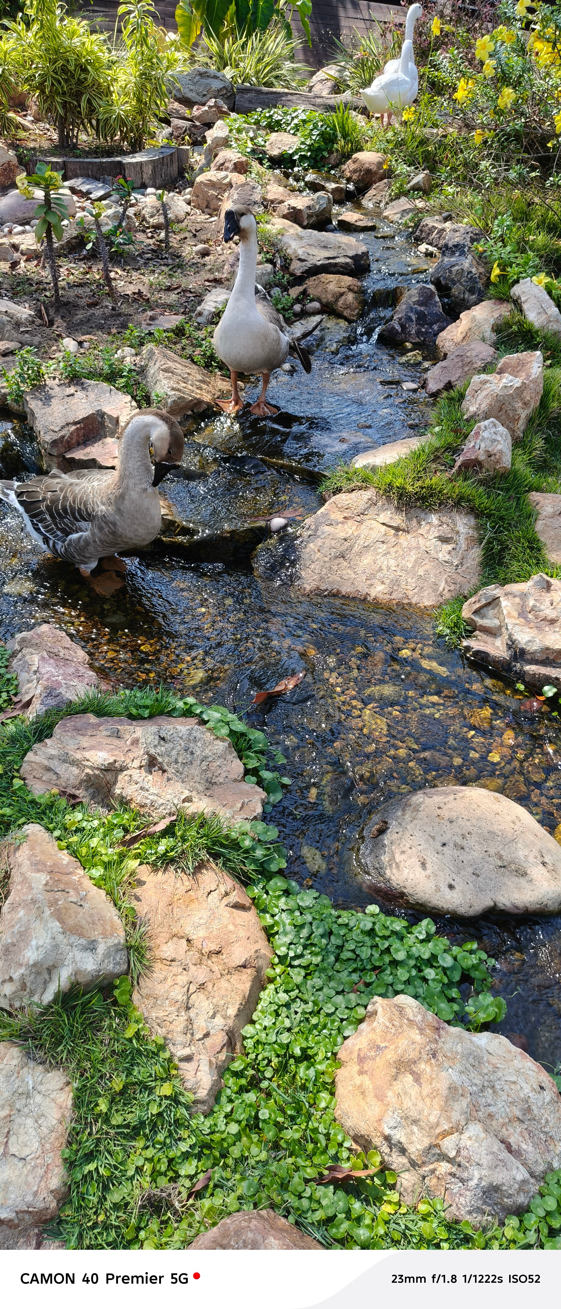 Aqua Safari Resort-官方