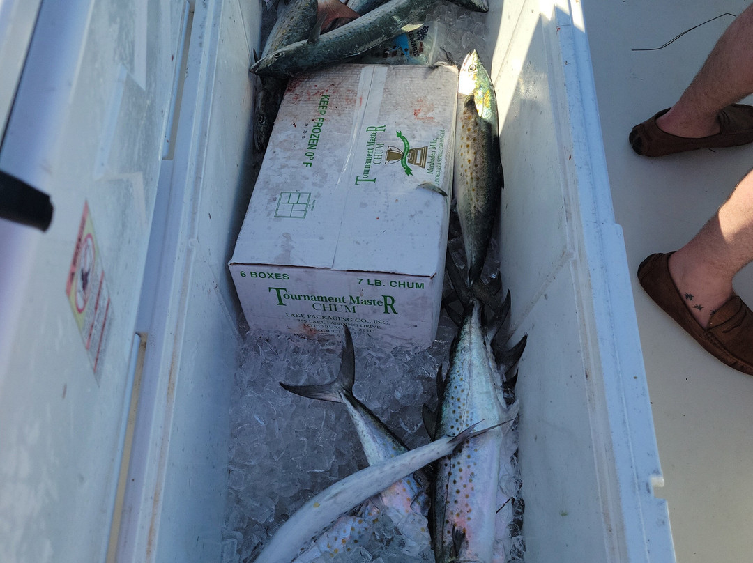 Best Bet Sportfishing-Key Colony Beach必去景点