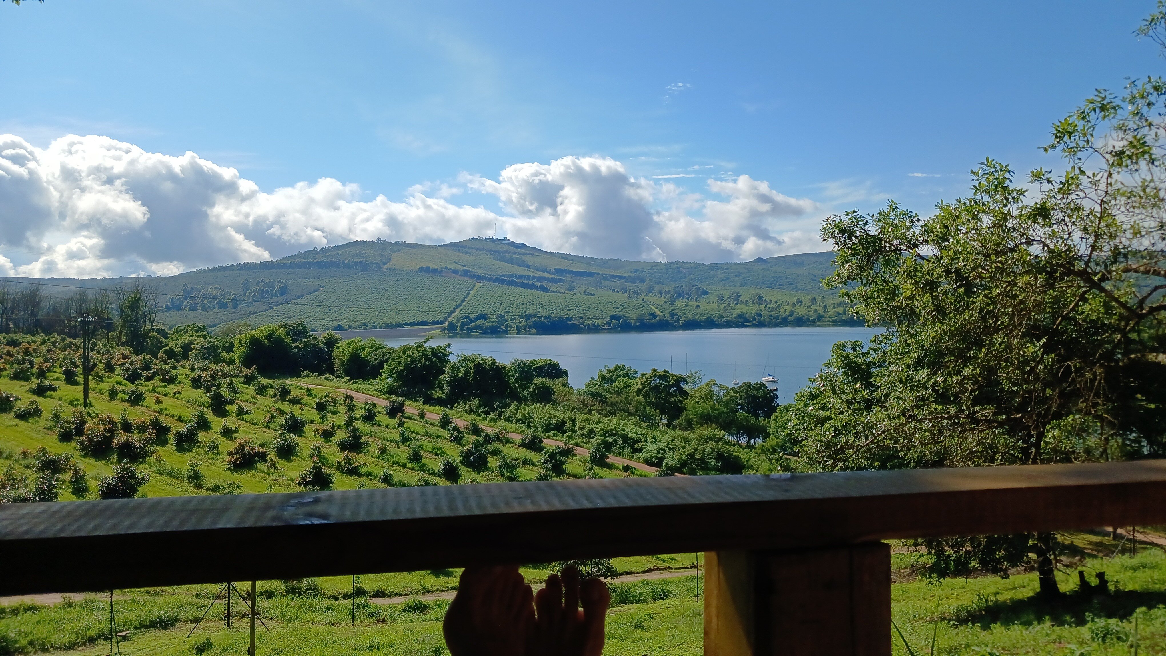 Plumbago Guest House-官方