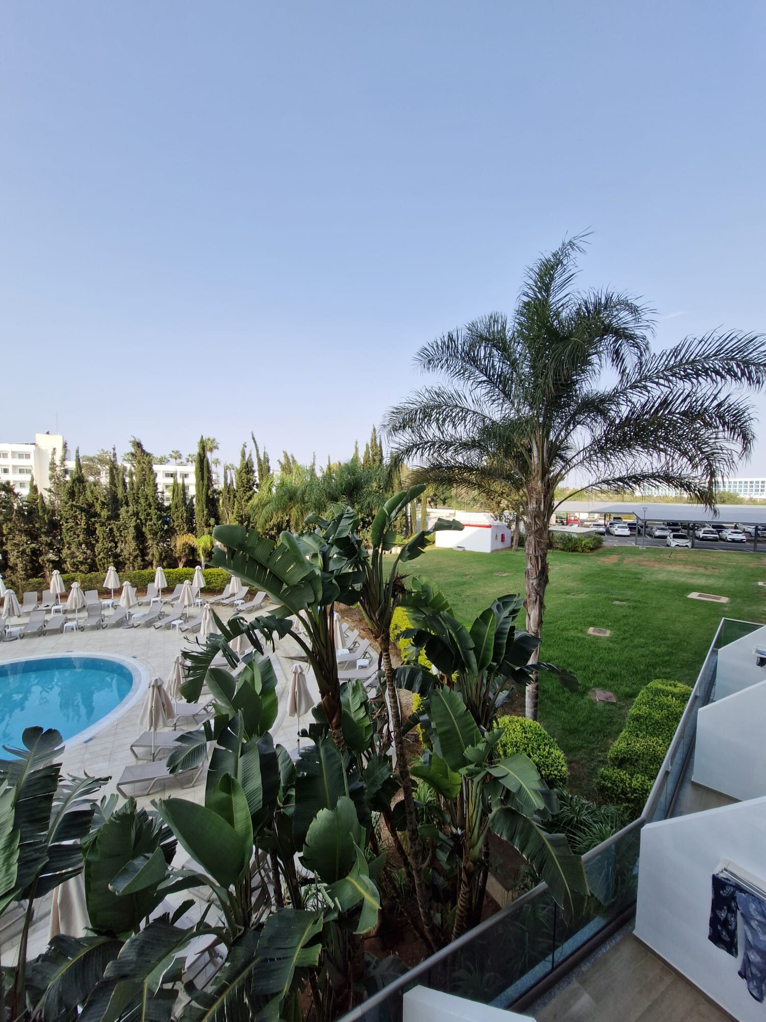 Asterias Beach Hotel-泳池