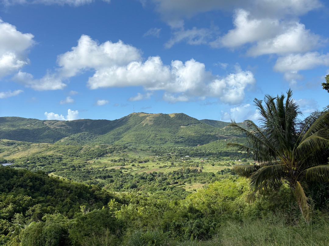 Antigua Rainforest Canopy Tour-安提瓜必去景点