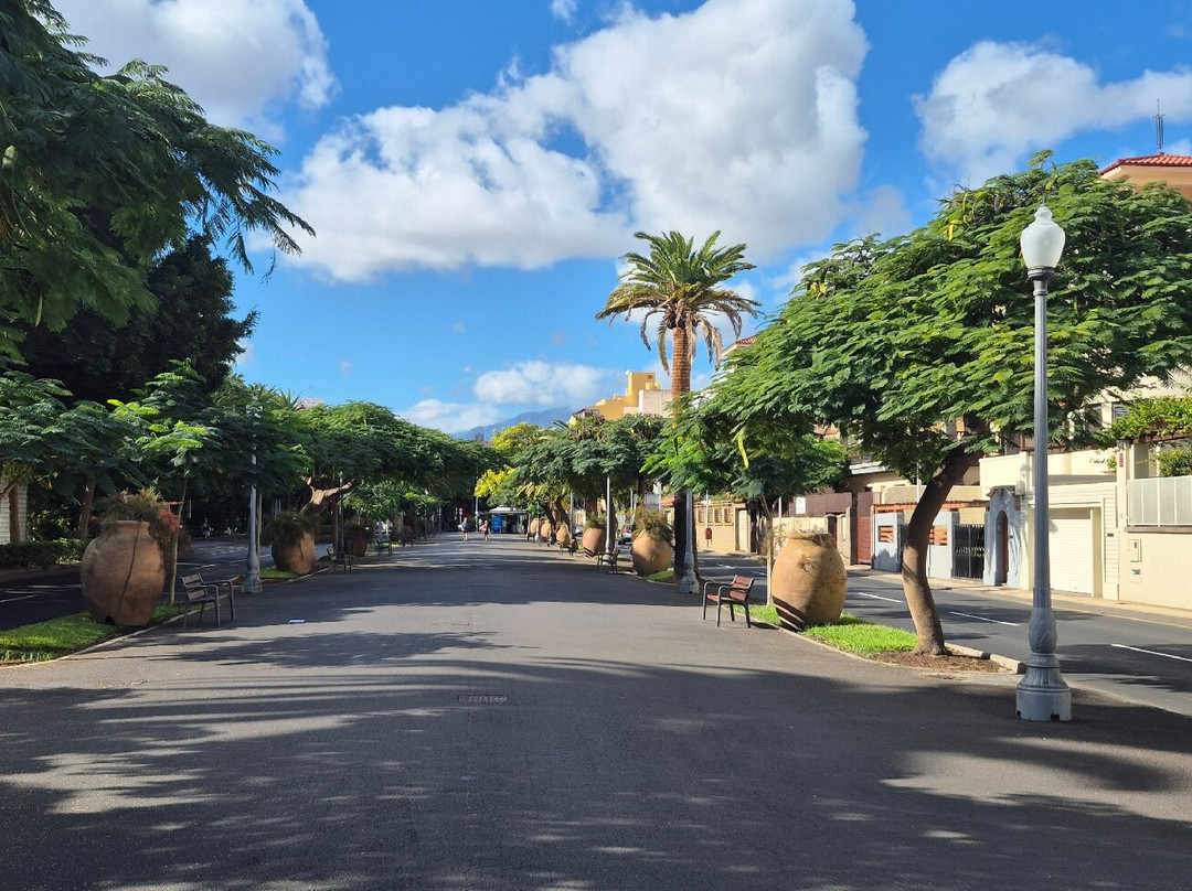 Rambla de Santa Cruz-圣克鲁斯-德特内里费必去景点