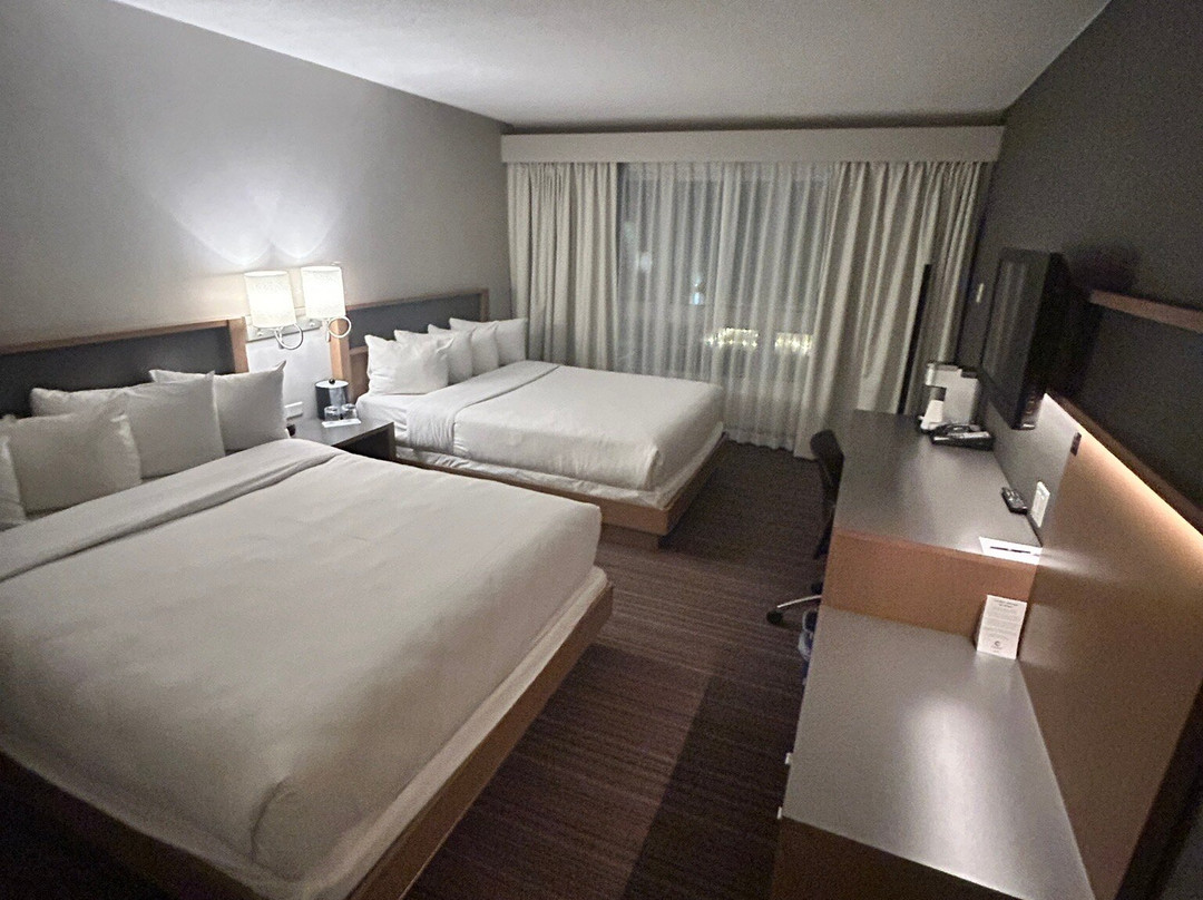 Hôtel Cofortel主图