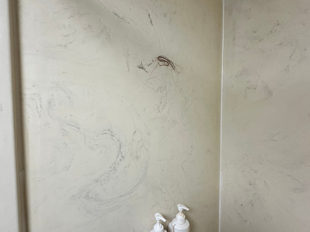 Super 8 by Wyndham Knoxville West/Farragut主图