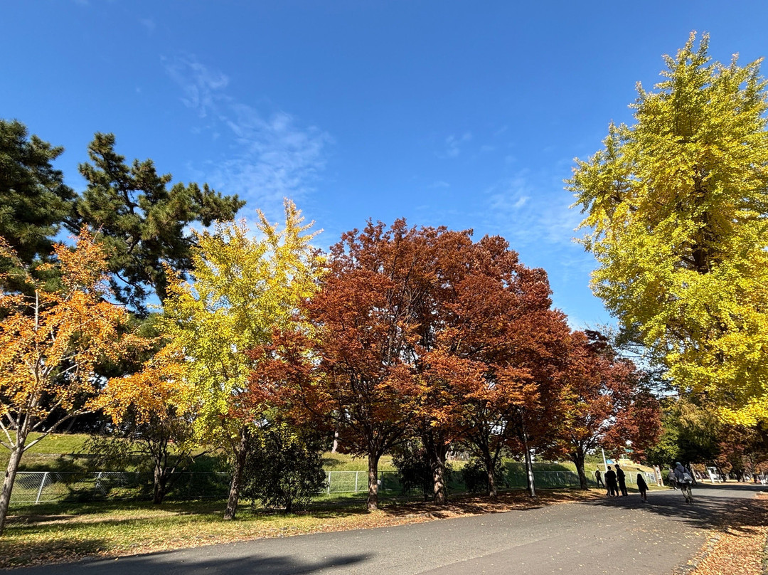 Hamadera Park-坂井市必去景点