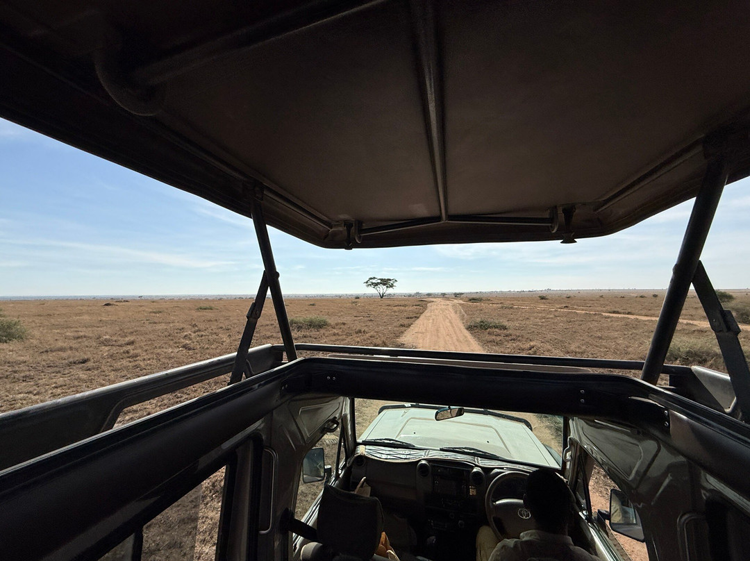 易捷旅游-一日游-阿鲁沙必去景点