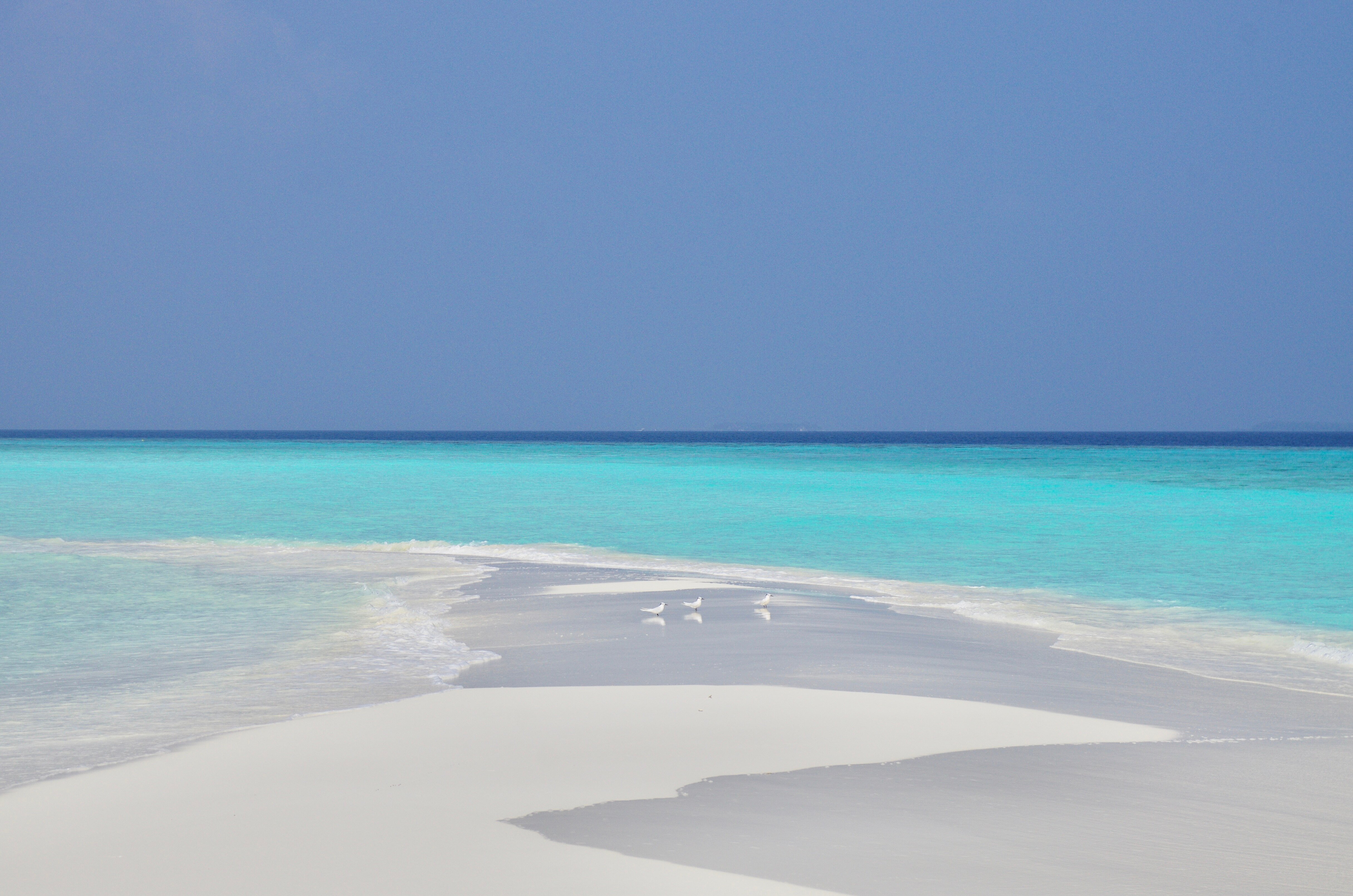 马尔代夫米拉杜岛酒店-浴室