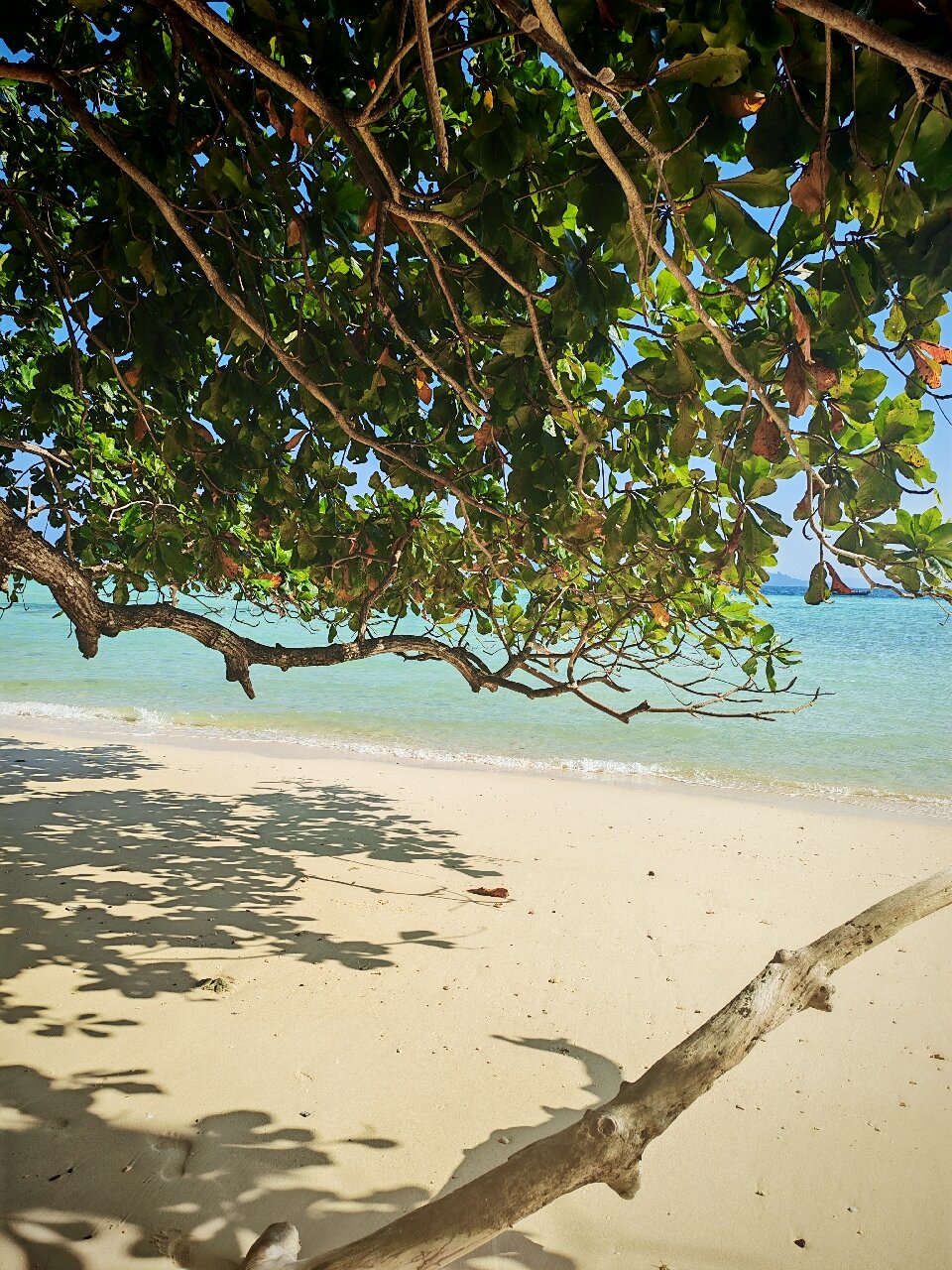 七海度假村-官方