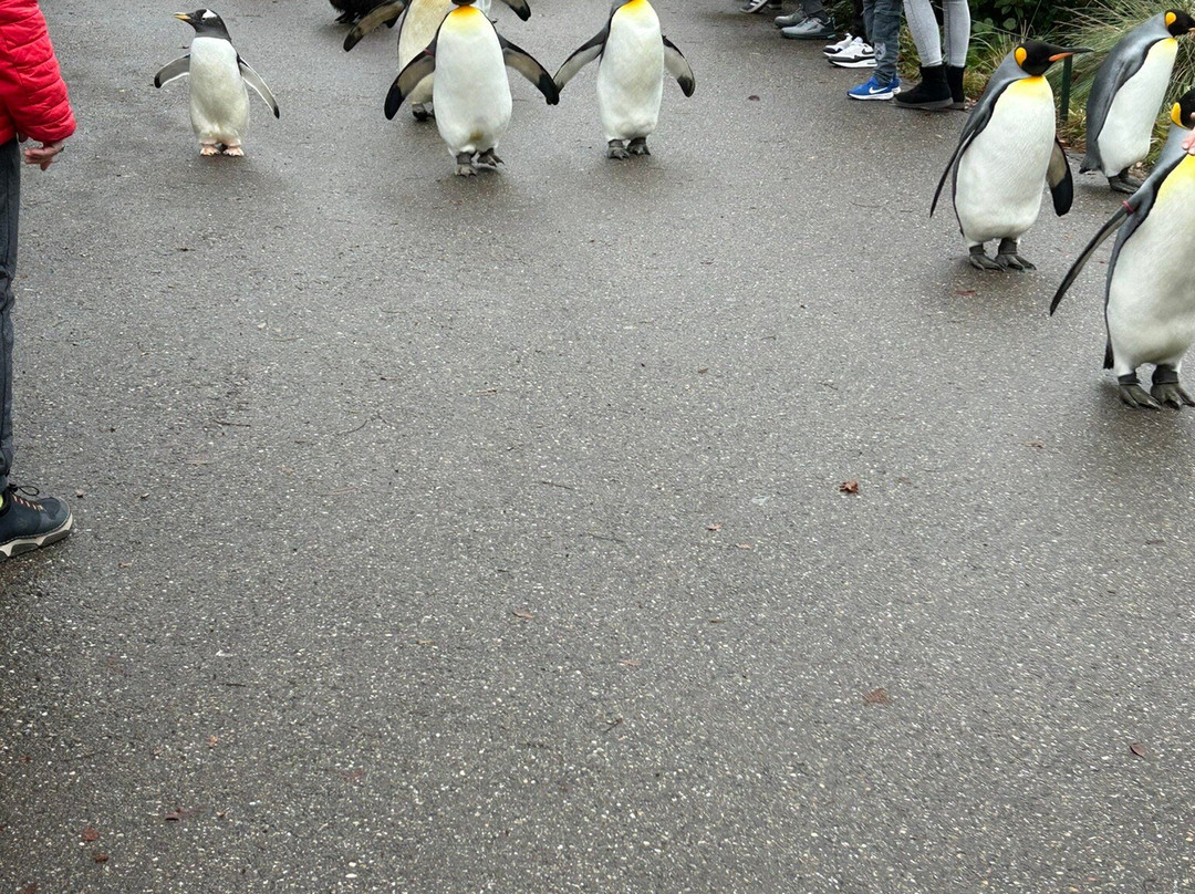 Zoo Basel-巴塞尔必去景点