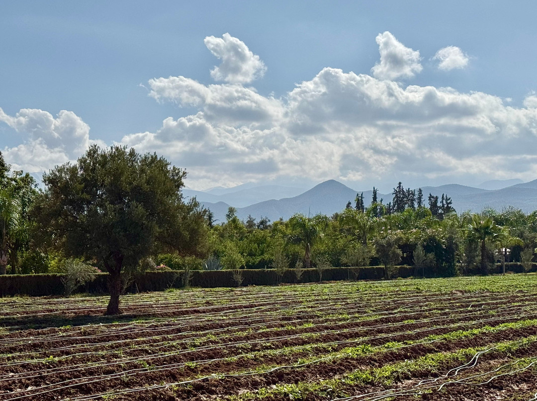Le Paradis du Safran-Ourika必去景点