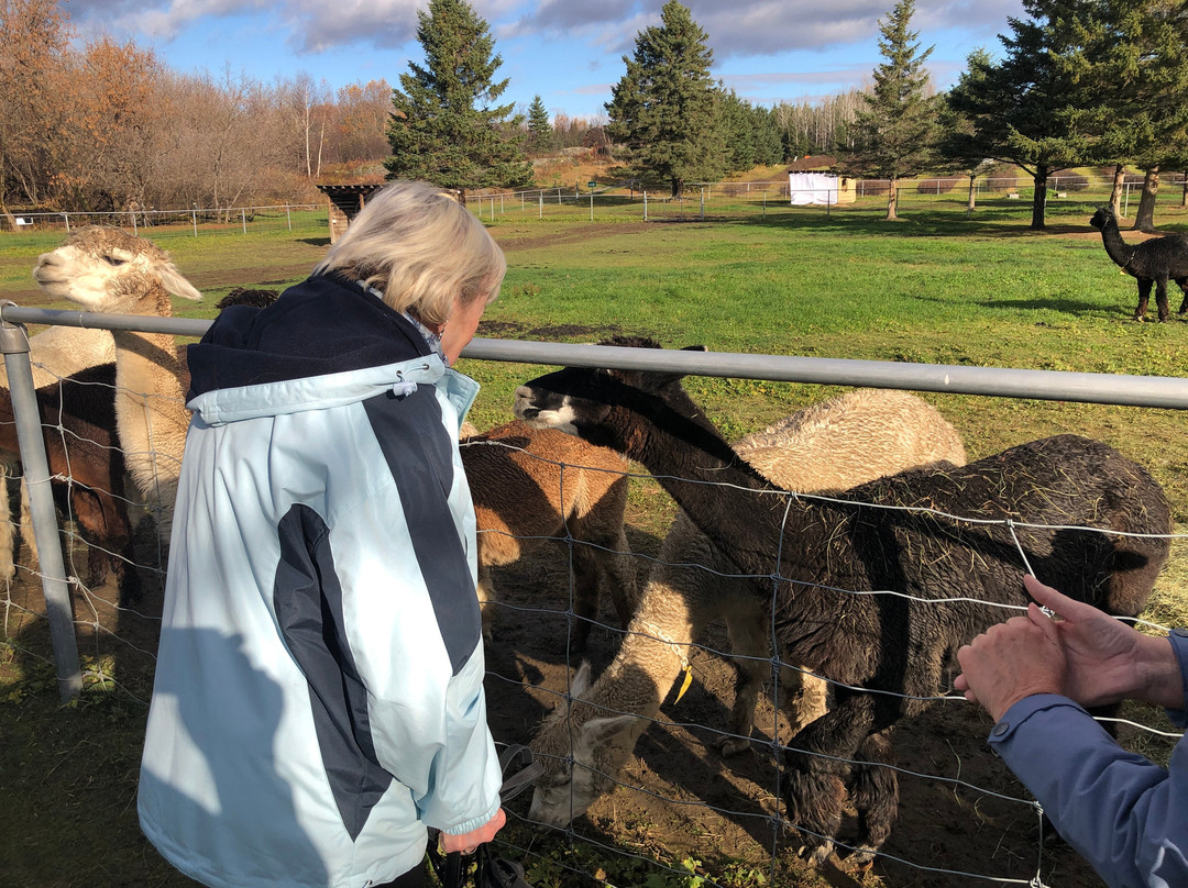 Alpaga Bersi-Saguenay必去景点