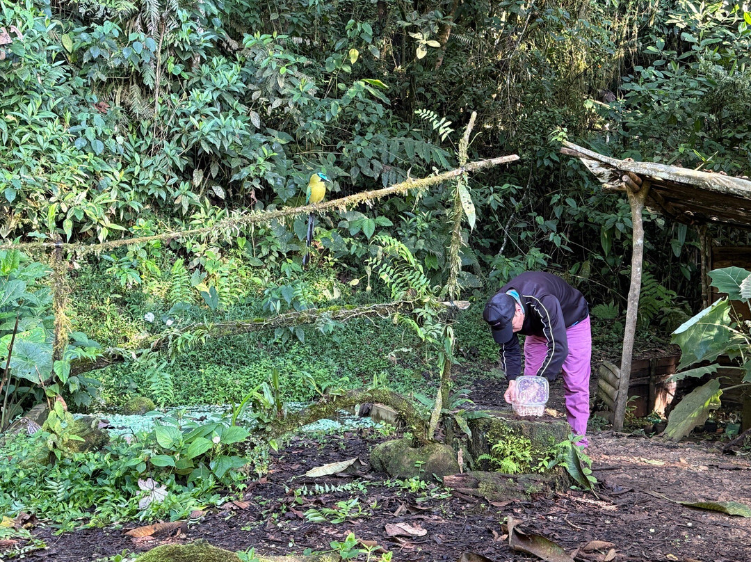 Finca La Florida