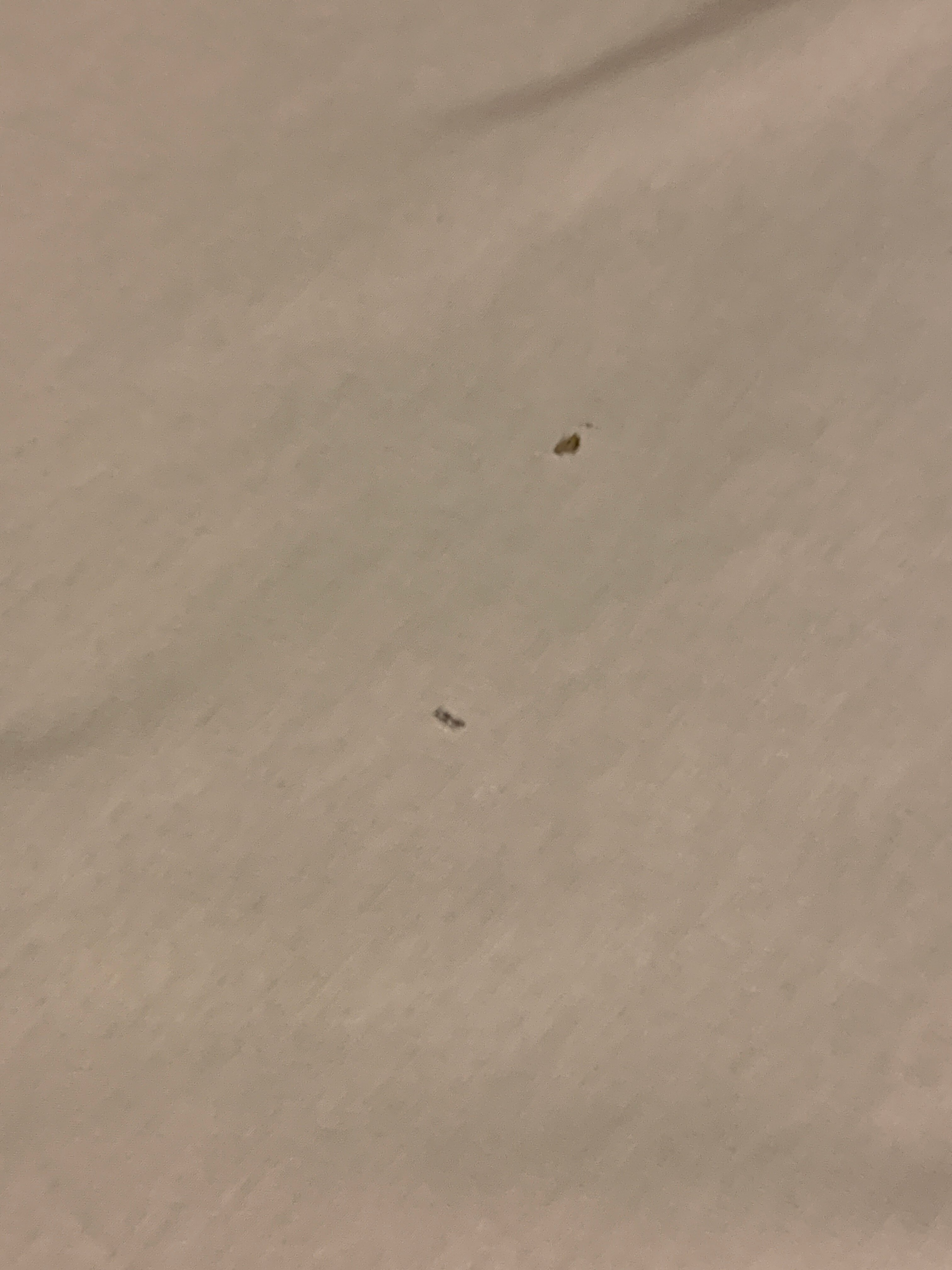 Kastel Itaipava-客卧