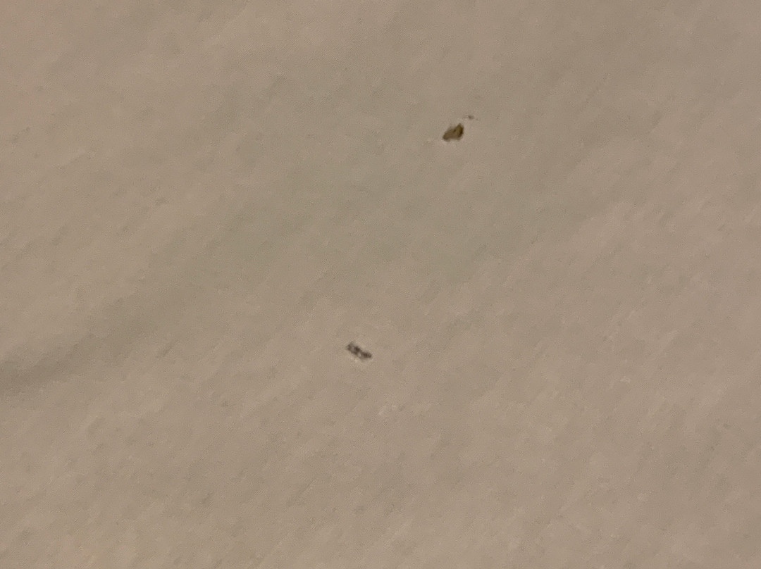 Kastel Itaipava主图