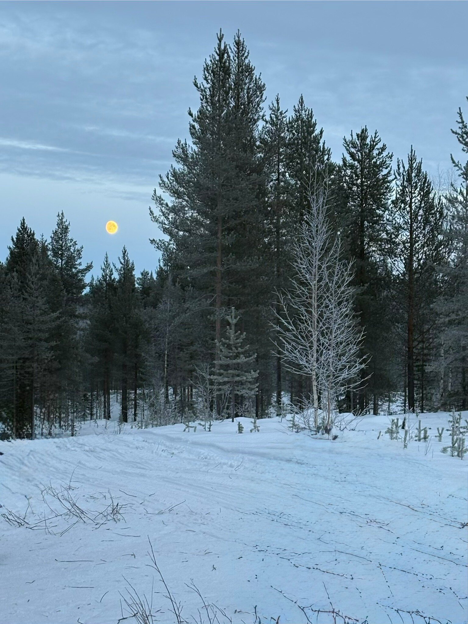 列维全景酒店-官方
