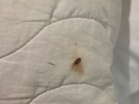 诺丁汉北部普瑞米尔酒店-戴布鲁克主图